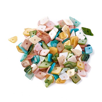 Shell Beads, Dyed, Nuggets Chips, Mixed Color, 6.2~15.2x4.3~7.3x0.4~3.8mm, Hole: 1mm