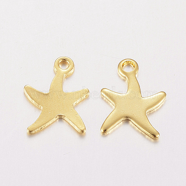 304 Stainless Steel Charms(X-STAS-F162-40G)-2
