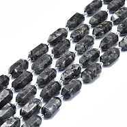 Natural Larvikite Beads Strands, Faceted, Double Terminated Pointed/Bullet, 25~27x13~15x12~13mm, Hole: 1.2mm, about 12~13pcs/strand, 15.35 inch(39cm)(G-F715-056)