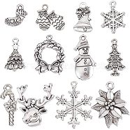 72Pcs 12 Style Tibetan Style Alloy Pendants, Lead Free & Cadmium Free, for Christmas, Mixed Shape, Antique Silver, 14.5~28.5x10~22x2~3mm, Hole: 1.5~2.5mm, 6pcs/style(FIND-SC0004-77)