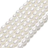 Natural Cultured Freshwater Pearl Beads Strands, Rice, Linen, 4~4.5x3~3.5mm, Hole: 0.5mm, about 84~85pcs/strand, 14.37''~14.56"(36.5cm)(PEAR-J006-07F)