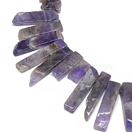 Natural Amethyst Beads Strands, Top Drilled Beads, Rectangle, Blue Violet, 19~67x8~11x4~9mm, Hole: 1mm, about 38~48pcs/strand, 15.7 inch(G-S318-03)