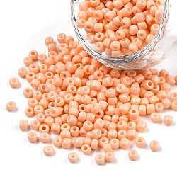 8/0 Baking Paint Glass Seed Beads, Round Hole, Round, Light Salmon, 3~3.5x2mm, Hole: 1~1.2mm, about 10000Pcs/pound(SEED-R051-07B-06)