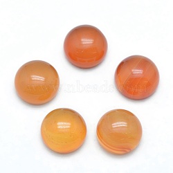 Natural Carnelian Cabochons, Half Round, 10x4~5mm(X-G-P393-R41-10mm)