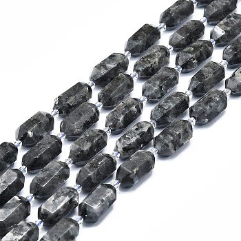 Natural Larvikite Beads Strands, Faceted, Double Terminated Pointed/Bullet, 25~27x13~15x12~13mm, Hole: 1.2mm, about 12~13pcs/strand, 15.35 inch(39cm)