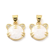 Natural Shell Charms, with Clear Cubic Zirconia and Brass Findings, Long-Lasting Plated, Tiger, Golden, 13.5x13.5x3mm, Hole: 5x3.5mm(KK-K257-01B-G)