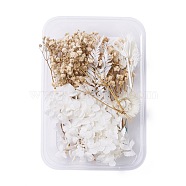 Dried Flowers, DIY Candle Soap Making Accessories, with Plastic Rectangle Box, BurlyWood & White, 2.2~14x2.4~10.2cm(X-DIY-D052-04)