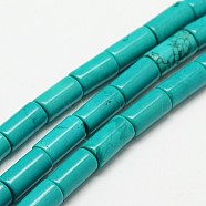 Column Natural Magnesite Beads Strands, Dyed & Heated, Turquoise, 16x8mm, Hole: 1mm, about 25pcs/strand, 15.7 inch(X-G-N0131-27-8x16mm)