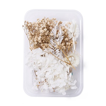Dried Flowers, DIY Candle Soap Making Accessories, with Plastic Rectangle Box, BurlyWood & White, 2.2~14x2.4~10.2cm
