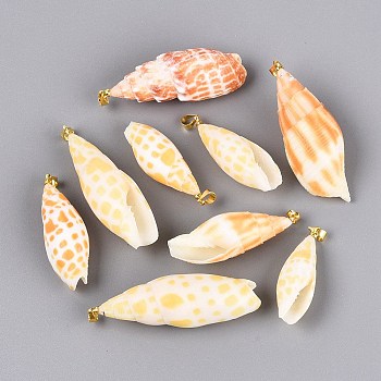 Brass & Natural Mitra Shell Big Pendants, Conch Charms, Light Gold, Orange, 32~57x12~22x11~20mm, Hole: 4~5x3.5mm