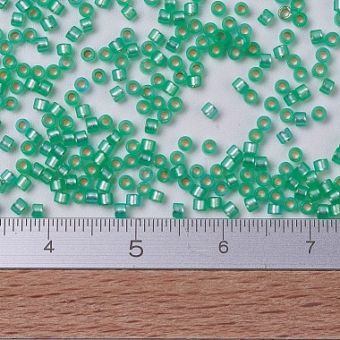 MIYUKI Delica Beads(X-SEED-J020-DB0691)-4