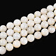Natural Freshwater Shell Beads Strands(SHEL-N038-05)-1