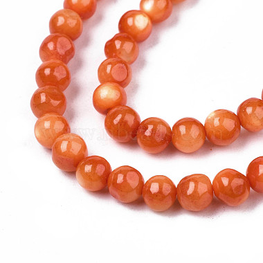 Eau douce naturelle de coquillage perles brins(SHEL-N003-24-B06)-3