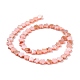 Natural Freshwater Shell Beads Strands(SHEL-H002-03D)-3