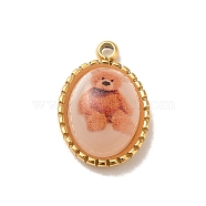 304 Stainless Steel Pave Resin Oval Charms with Bear, Real 14K Gold Plated, 11.5x7.5x4mm, Hole: 1mm(X-STAS-L022-248G)