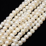Grade A Natural Cultured Freshwater Pearl Beads Strands, Potato, Creamy White, 10~11mm, Hole: 0.8mm, about 40pcs/strand, 13.77 inch~14.17 inch(PEAR-L001-B-10-01)