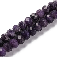 Natural Lepidolite Beads Strands, Faceted, Rondelle, 8x6mm, Hole: 1mm, about 63~64pcs/strand, 14.96''~15.35''(38~39cm)(G-K380-A13-01)