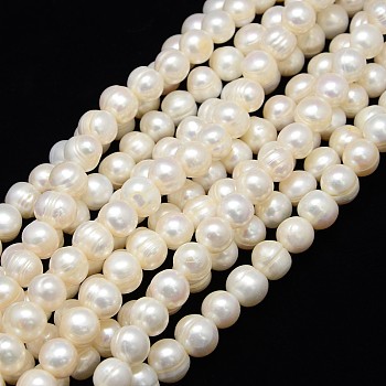 Grade A Natural Cultured Freshwater Pearl Beads Strands, Potato, Creamy White, 10~11mm, Hole: 0.8mm, about 40pcs/strand, 13.77 inch~14.17 inch