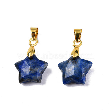Breloques naturels lapis-lazuli(X-G-N326-142-02)-2