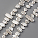 Spray Painted Natural Freshwater Shell Beads Strands(SHEL-S276-89D)-1