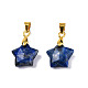 Breloques naturels lapis-lazuli(X-G-N326-142-02)-2