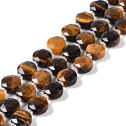 Natural Tiger Eye Beads Strands, with Seed Beads, Faceted Hexagonal Cut, Flat Round, 10~11x5~6mm, Hole: 1mm, about 30~31pcs/strand, 14.57~14.96 inch(37~38cm)(G-N342-09)