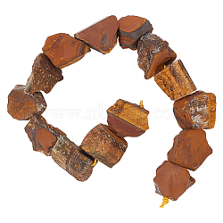 Rough Raw Natural Tiger Eye Beads Strands, Nuggets, 11~25x11~20mm, Hole: 1.2mm, about 12~15pcs/strand, 7.48 inch~7.87 inch(19~20cm)(G-OC0003-77)