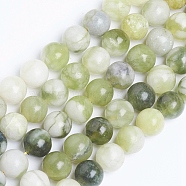 Natural Qinghua Jade Beads Strands, Round, 8mm, Hole: 1mm, about 50pcs/strand, 14.96 inch(38cm)(G-G818-01-8mm)