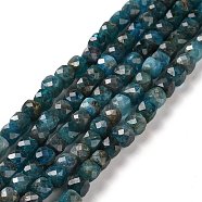 Natural Apatite Beads Strands, Faceted, Cube, 5x5x5mm, Hole: 0.8mm, about 80pcs/strand, 15.51''(39.4cm)(G-L581C-003-B)