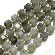 Natural Labradorite Beads Strands, Faceted, Cube, 6.5~7.5x6.5~7.5x6.5~7.5mm, Hole: 1.2mm, about 43~44pcs/strand, 15.35''~15.55''(39~39.5cm)(G-I376-D31-01)