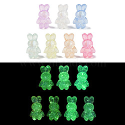 Luminous Transparent Acrylic Beads, with Glitter Power, Glow in the Dark, Rabbite, Mixed Color, 24x14.5x11mm, Hole: 2mm(LACR-U001-04)