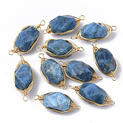 Natural Kyanite Links connectors, Wire Wrapped Links, with Golden Tone Brass Wires, Faceted, Oval, 23~24x9x8mm, Hole: 1.4mm(G-S359-036A)