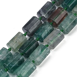 Natural Fluorite Beads Strands, Faceted, Column, 16x12mm, Hole: 1.5mm, about 21pcs/strand, 16.34''(41.5cm)(G-G162-D16-02)