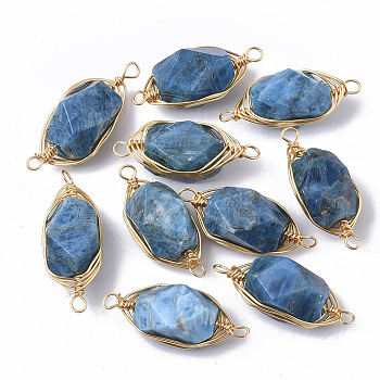 Natural Kyanite Links connectors, Wire Wrapped Links, with Golden Tone Brass Wires, Faceted, Oval, 23~24x9x8mm, Hole: 1.4mm