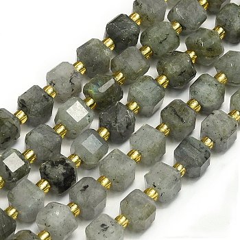 Natural Labradorite Beads Strands, Faceted, Cube, 6.5~7.5x6.5~7.5x6.5~7.5mm, Hole: 1.2mm, about 43~44pcs/strand, 15.35''~15.55''(39~39.5cm)