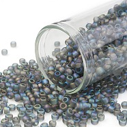 TOHO Round Seed Beads, Japanese Seed Beads, (176BF) Transparent AB Frost Gray, 8/0, 3mm, Hole: 1mm, about 1110pcs/50g(SEED-XTR08-0176BF)