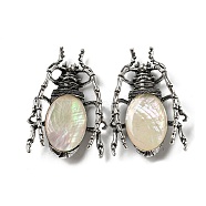 Dual-use Items Alloy Insects Brooch, with Natural Paua Shell, Antique Silver, PapayaWhip, 49.5x35.5x15~16mm, Hole: 4x2.5mm(JEWB-C026-05N-AS)