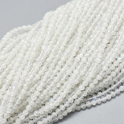 Natural Rainbow Moonstone Beads Strands, Round, 2mm, Hole: 0.5mm, about 195pcs/strand, 15.35 inch(39cm)(X-G-A177-04-23)