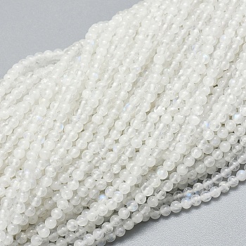 Natural Rainbow Moonstone Beads Strands, Round, 2mm, Hole: 0.5mm, about 195pcs/strand, 15.35 inch(39cm)