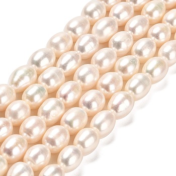 Natural Cultured Freshwater Pearl Beads Strands, Rice, Grade AAAAA, Seashell Color, 9.5~10x8~9mm, Hole: 0.6mm, about 37~38pcs/strand, 14.76~15.16''(37.5~38.5cm)