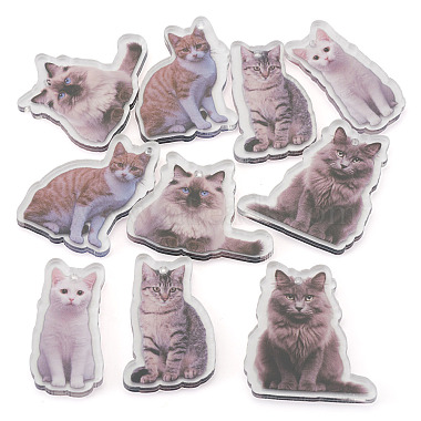 10個 5 スタイルのプリントアクリルペンダント(OACR-TA0004-13)-3