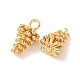 Brass Pendants(KK-A295-01G)-2