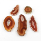 Dyed Mixed Shape Natural Agate Gemstone Big Pendants(G-R300-03)-1
