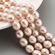 Natural Cultured Freshwater Pearl Beads Strands, Grade 2A, Rice, Dark Salmon, 9~10mm, Hole: 0.6mm, about 19pcs/strand, 6.69~6.89''(17~17.5cm)(PEAR-P062-13D)