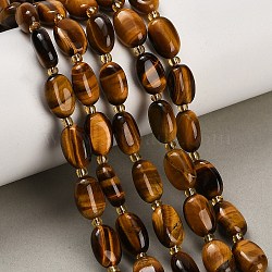 Natural Tiger Eye Beads Strands, Oval, Grade A, with Seed Beads, 12~12.5x8.5x5~6mm, Hole: 1.2mm, about 26~27pcs/strand, 14.76''~15.16''(37.5~38.5cm)(GG-CBA5B6F-D01-01)