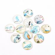 Flatback Glass Cabochons for DIY Projects, Animal Pattern, Dome/Half Round, Mixed Color, 12x4mm(GGLA-S029-12mm-015)