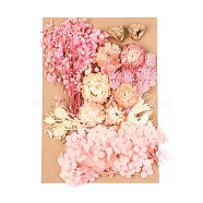 Dried Flower, for Bridal Shower, Wedding, Preserved Fresh Flower, Pink, 210x148x14~24.5mm(DIY-B018-09)