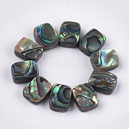 Abalone Shell/Paua Shell Beads, Rectangle, Colorful, 10x8x3.5~4mm, Hole: 1mm(X-SSHEL-T008-05)