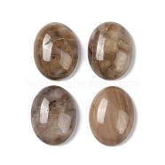 Natural Multi-Color Agate Cabochons, Oval, 20~20.8x15~15.5x5.8~6.5mm(G-B080-01A-16)