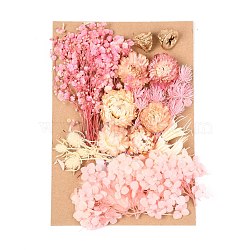 Dried Flower, for Bridal Shower, Wedding, Preserved Fresh Flower, Pink, 210x148x14~24.5mm(DIY-B018-09)